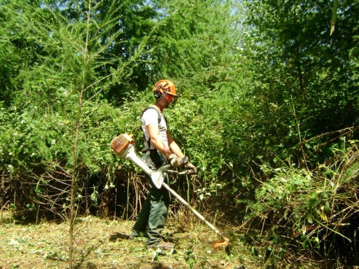 Débroussailleuse forestière lourde