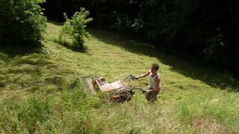 Entretien paysager en Ardèche